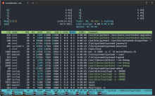 htop mit Windows Termin